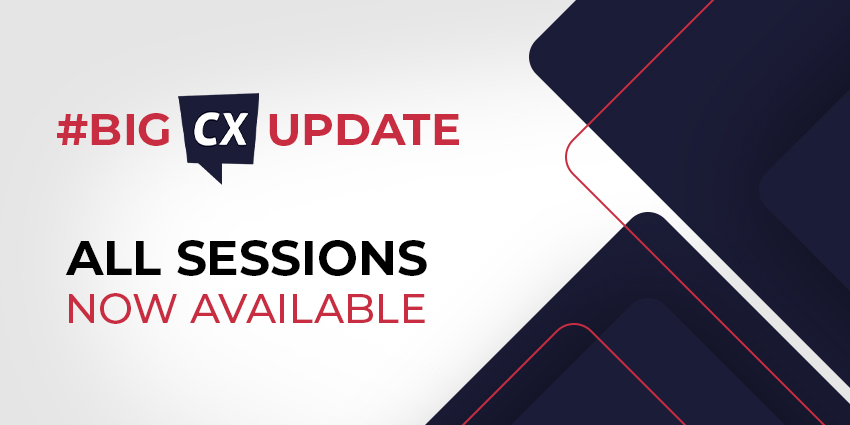 Big CX Updates 2024 Insights from Leading Customer Experience Innovators