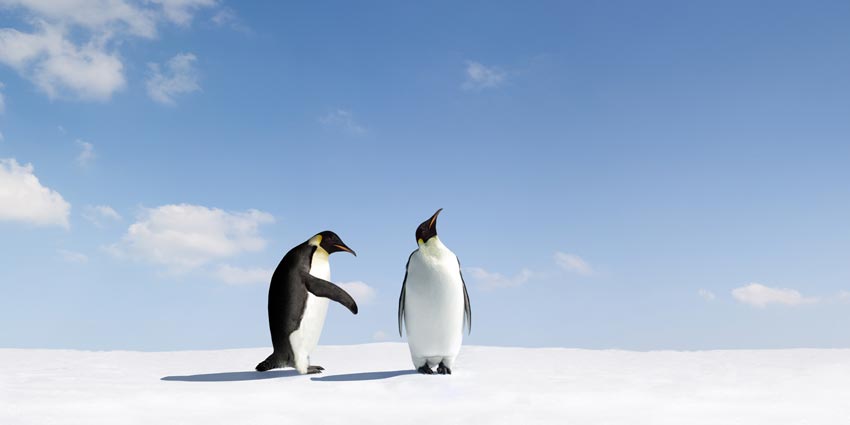 The Cost of Ignoring the Contact Center in Customer-Facing AI Decisions